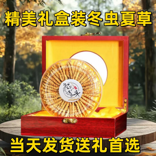 冬虫夏草礼盒装精品藏区虫草当天发货送礼首选正宗雪域冬虫夏草 西藏那曲高海拔虫草4条1克100条