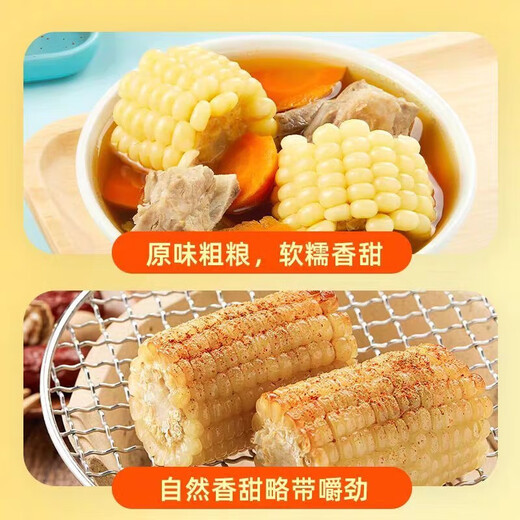 2025 First Crop Northeast White Waxy Corn Vacuum Packaging Corn Sections Coarse Grain Breakfast Meal Replacement 110g-140g/Section Rose Gold Premium White Waxy Corn 3 Sections