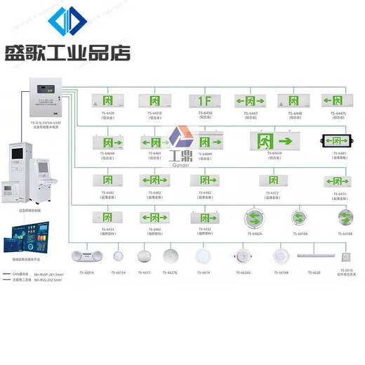 泰和安集中电源控制型消防应急照明灯具吸顶嵌墙式疏散照明指示灯 TS-ZF TS-ZFJC-E3W-6623A