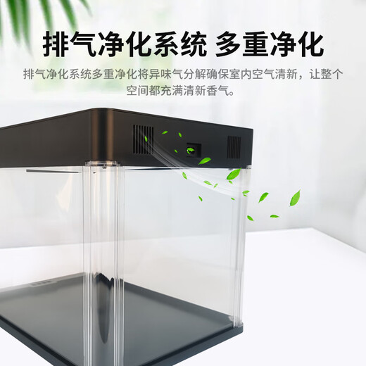 Zhenguilihe smart care box deodorizing, sterilizing and deodorizing home small care box