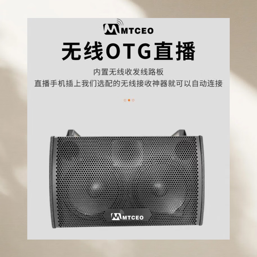 Martin President TC10 high-power outdoor playing and singing live karaoke audio stage performance stereo subwoofer Martin President TC10 standard configuration