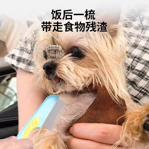 Mink Yorkshire Bichon special comb face comb comb pet dog face comb to remove fleas small row comb blue and yellow two-pack long and short tooth small face comb