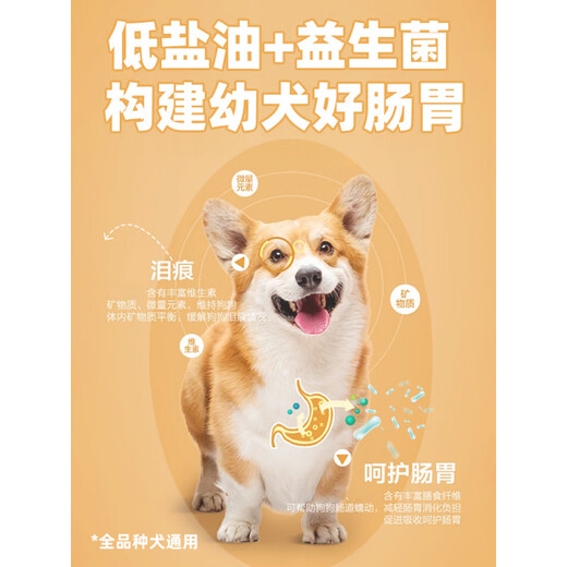OIMG Puppy Dog Food Puppy Food 1-12 Months Small Puppies Special Milk Cake Dog Food Teddy Small Puppies Special Dog Food (Applicable for 1-12 months old) 2kg Get coupon for instant discount and enjoy special price Get 4
