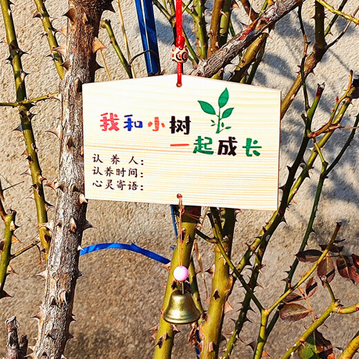 Arbor Day listing custom tree sign tree adoption sign plant tag small sapling brand wooden tree planting sign tree planting sign 315*10 cm