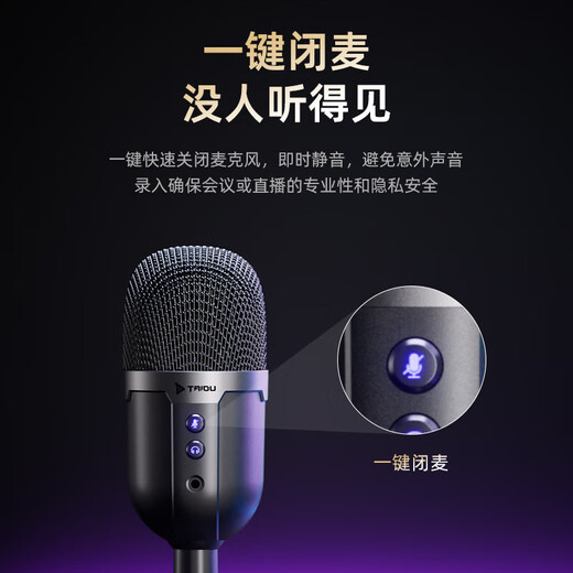 Taidu Official Genuine TSP201 Starcom Computer Microphone Desktop Laptop E-Sports Game Voice Live Broadcast Microphone Noise Reduction Condenser Microphone USB Plug Karaoke Online Class USB Version TSP207 Computer Special