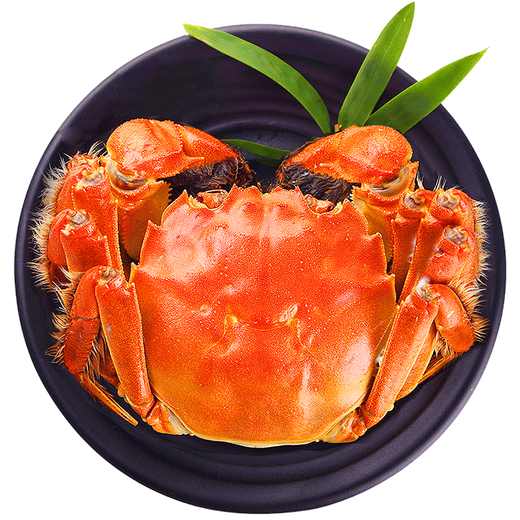 Live crabs, fresh hairy crabs in autumn colors in the lake, male 4.0-4.3 female, 3.0-3.3 pairs, 4 pairs, ropeless, full-weight New Year gift box, straight from the source