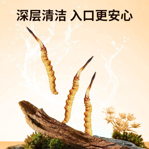 同芙 冬虫夏草2根/g 10g 20根礼盒装 滋补营养补品送长辈礼品礼物