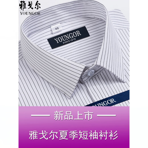 CEO雅戈尔短袖衬衫男士夏季商务休闲职业正装棉免烫中年大码条纹衬衣 短袖DX6624 38