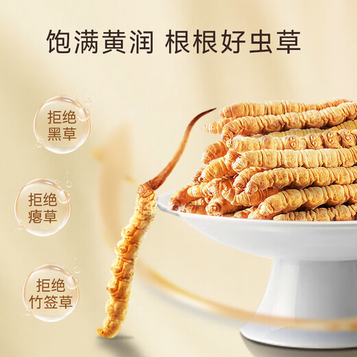 东阳光冬虫夏草2-3根/g50g约125根虫草高端礼盒营养品补品送长辈父母