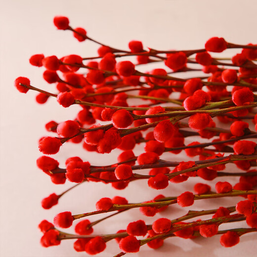 Fresh branches of blue longan and silver willow, New Year's Eve festive flowers, can be grown in water or dried, colorful and lucky 45CM 30 branches straight from the source