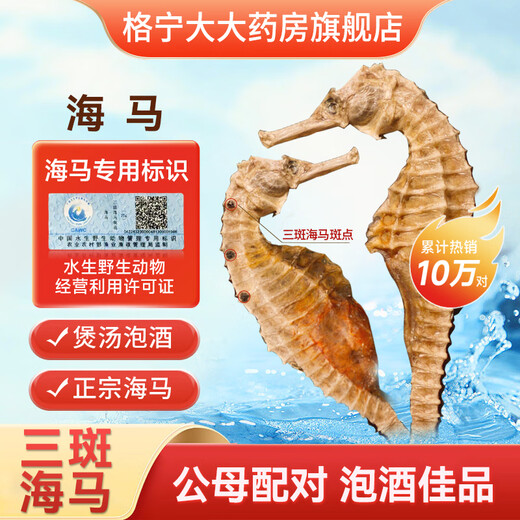 格宁大海马干货中药材配对泡酒煲汤料包小海马批发CN 【公母配对】三斑海马一对约2克