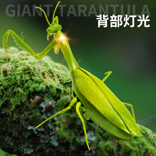
Rongdetang remote control mantis electric simulation toys Douyin prank artifact cockroach boy moves spider [classic version - remote control ladybug] red 9922+ snail [upgrade version] 24 electronics