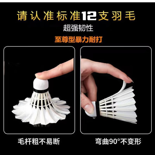 Zhizhou badminton set of 12 pieces, durable and not easy to break, goose feathers for indoor and outdoor competitions, windproof training balls, durable badminton, total of 3 badmintons, 1 tube