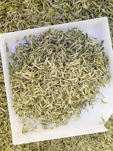 Fuding White Tea 2022 Fuding Guanyangchun Tea Flower Fragrant White Alpine Sun-Dried White Tea Loose Tea Pack 500g Manufacturer 2022 Peony 1051