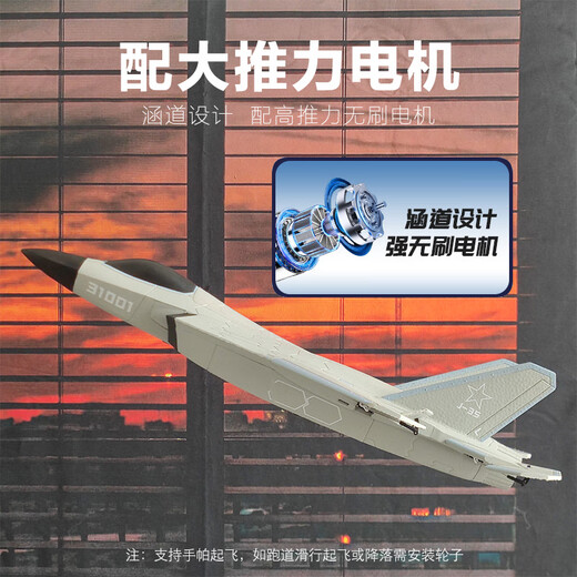 Tema Tongtong remote control fighter J-20 model aircraft model aircraft can fly fixed-wing aircraft toy children boy birthday gift 12 minutes - large J-35 four-way stunt 31 models