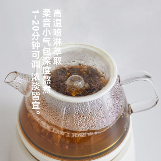 Olayks instant pure titanium health pot teapot steaming teapot teapot spray type mini small one person mother and baby grade material girl gift