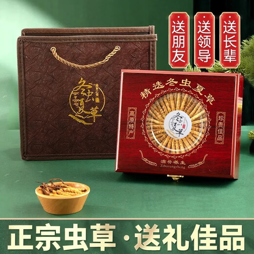 Boîte-cadeau CordyCeps 2025 Premier chaume nouveau Cordyceps séché sélectionné Cordyceps authentique garanti de l'expédition le même jour. Les plus beaux cordyceps du Tibet 4 pièces 1 gramme 30 pièces