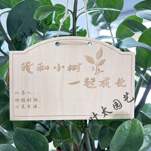 Yong Huan 10 pieces of custom-made wooden hanging tags for school Arbor Day tags, tree adoption tags, plant tags, name cards, random mixed 10 pieces