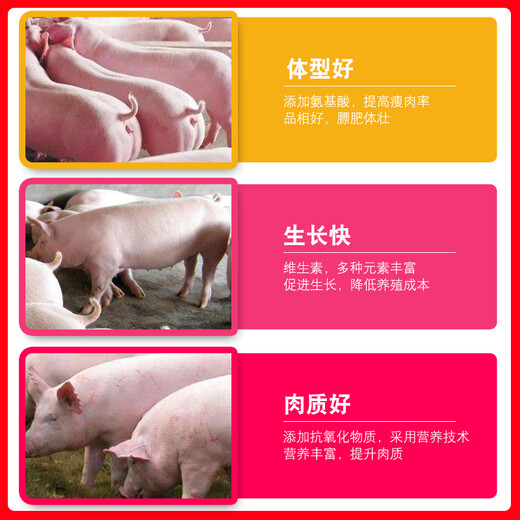 Sino-US Puco 4% large pig premix feed pig premix fattening pig premix large pig fattening fattening pig feed 4% large pig premix 20kg