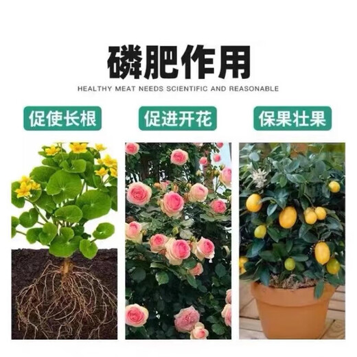 Yuntianhua Phosphate Fertilizer Flower Superphosphate Flower Fertilizer Vegetable Fertilizer Root-Strengthening Fertilizer Soil Fertilizer Chemical Fertilizer Vegetable Agricultural Fertilizer Phosphate Fertilizer Granules 20Jin Jin is equal to 0.5kg divided into 4 packages