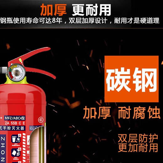 温诗欧手提式干粉灭火器材消防商铺用4公斤家用12358kg车用灭火器箱套装 2KG家用灭火器+铁挂架