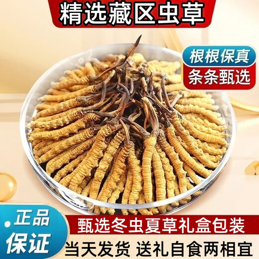
Luzhangtang Cordyceps gift box is authentic Tibetan snow mountain Cordyceps gift gift quality guaranteed to ship on the same day. Tibet Naqu fine cordyceps 2 pieces 1 gram 50 pieces