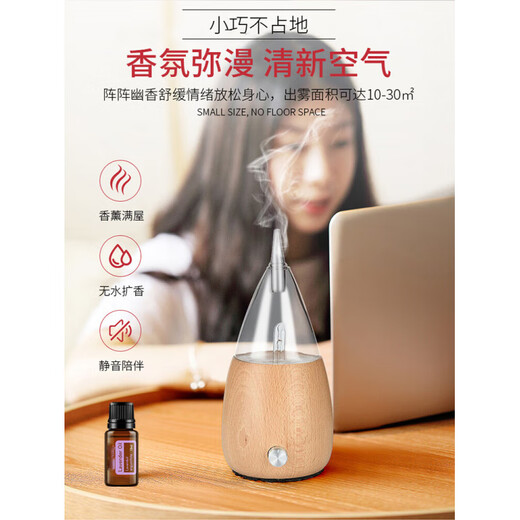 Shantou Lincun pure essential oil cold incense diffusion furnace household negative ion atomized aromatherapy nasal static incense waterless aromatherapy machine pure essential oil diffuser diffuser nose shape to send essential oil