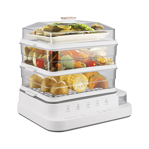 Royalstar electric steamer RS-ZG833G multi-function household electric steamer