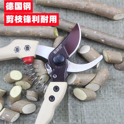 Sailotou 130S gardening pruning scissors household branch pruning shears steel garden fruit tree pruning scissors Qintian 130S 0S pruning shears