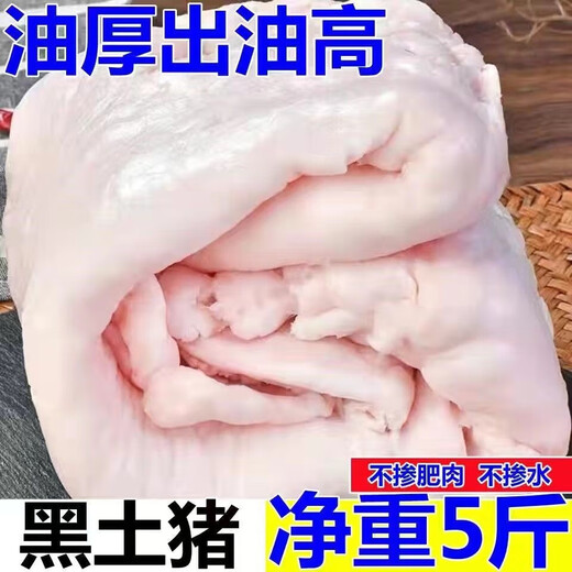 Pork suet, farmer's native pig, freshly killed black pig, fat pig, large oil, restaurant edible fat, whole meat oil for cooking, net weight 10 Jin Jin is equal to 0.5 kg, not counting ice, pure suet 10 Jin Jin is equal to 0.5 kg