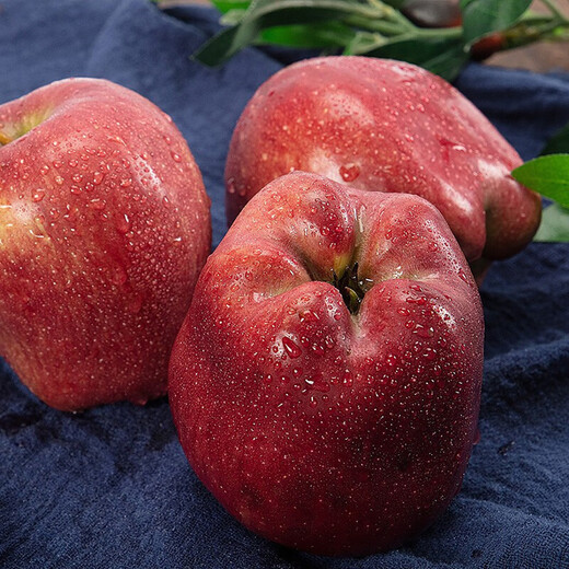 Beijing Fresh Gansu Tianshui Huaniu Apple, net weight 4.5Jin Jin equals 0.5kg, single fruit 170g+, fresh fruit, straight from the source
