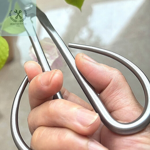 LNGA LANDGRE leaf bud shears all stainless steel gardening shears leaf bud shears bud scissors flower arrangement bonsai branch shears pruning twigs shears trees leaf bud shears all stainless steel gardening shears leaf bud shears buds