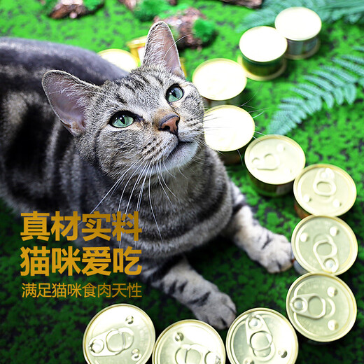 FancyFeast canned cat 24 gold cans for adult cats, general hydration and nutrition, white meat soup, canned cat snacks, canned fish, multi-flavor mixed pack, hot sale 85g*24 cans recommended