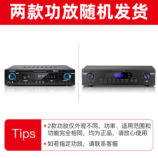 Hyundai Modernes Heimkino-Gesangsmaschine KTV Audio Set High-Power-Verstärker Karaoke Home Singing Equipment Wohnzimmer Konferenzraumkartenpaket Lautsprecher [Professionelle Version] 10-Zoll-Audio-Gesangsmaschine + 10-Zoll-Subwoofer