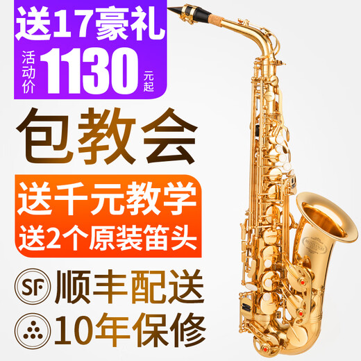 Angel of Sound E-flat alto saxophone instrument wind pipe for adult beginners professional performance examination model recommended by big players M21 gold | upgraded double ribs + double mouthpieces | + teaching
