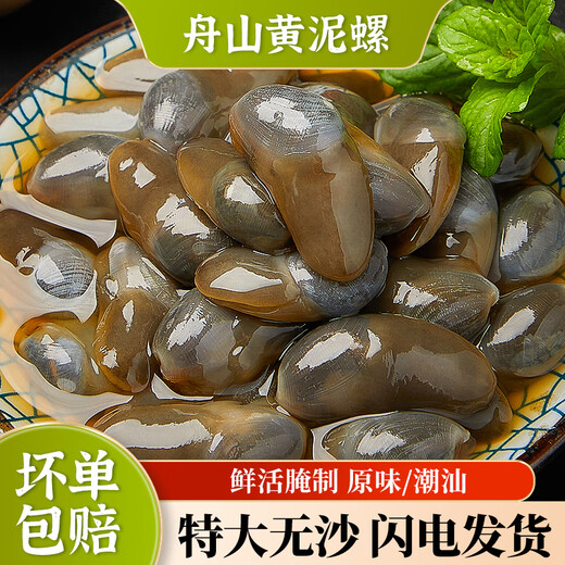 Sennongle Snail Emperor Yellow Snail Instant Canned Drunken Snail Fresh Extra Large Raw Pickled Wild Sand-Free Ningbo Zhoushan Specialty Large Particles Zhoushan Authentic Original Flavor 300g Net Weight