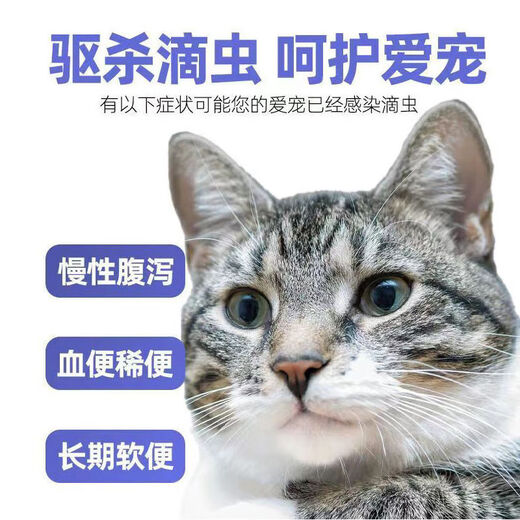 Pet Metronidazole Tablets, Dog Stomatitis, Cat Bad Breath, Toothache, Periodontitis, Oral Ulcer, Red and Swollen Gums, Anaerobic Infection, Antiprotozoal Disease, Canine Giardiasis, Metronidazole Tablets, Pet Stomatitis, 2 Bottles