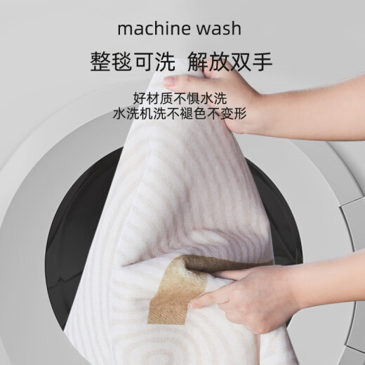 地毯卧室床边毯轻奢免打理家用客厅茶几毯可机洗满铺飘窗地垫 卿云-13786 120x240cm