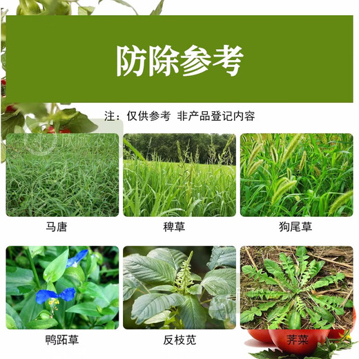 Flue-cured tobacco fields, tobacco leaves, pepper herbicides, Quizalofop-sulfonate and sulfosulfuron-further, flue-cured tobacco, tomatoes and potato weeding 38.5ml (set of 10)