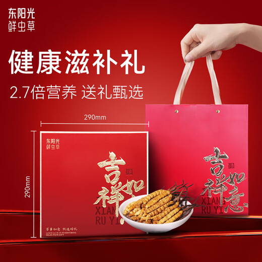 Dongyangguang Cordyceps sinensis 3-4 Wurzeln/G Neu getrockneter Cordyceps nahrhafte Geschenkbox Cordyceps Ergänzungsgeschenke an Eltern und Älteste etwa 6 Gramm [hohe Kostenleistung]