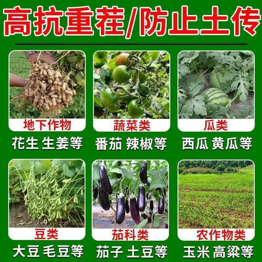 Soil-borne disease bactericide, agricultural soil fungicide, anti-repeat root rot, dead seedlings and root rot, 10 packs 500g*10