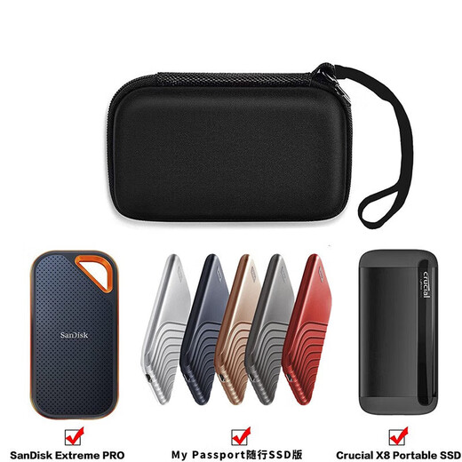 闪迪（SanDisk）移动固态硬盘保护包E30 E61 E81防震防摔收纳包保护套 便携硬盘包 E61至尊极速（卓越版|人手必备） 1TB专用硬壳防震包