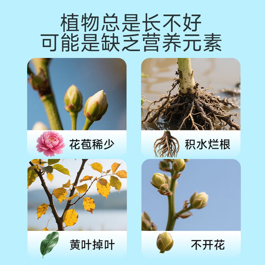 Dewoduo plant regeneration agent nutrient solution universal 6-pack hydroponic money tree flower fertilizer green plant flower rooting solution