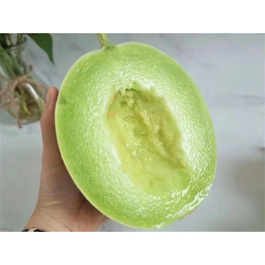 New Migu melon seeds, super sweet jade mushroom cantaloupe seeds, cantaloupe seeds, sweet melon seeds from the south and the north for all seasons, Migu