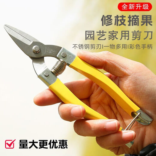RSRDDYA grade Luoding fruit scissors, medium yellow, small yellow and thin fruit scissors, garden scissors, stainless steel fruit picking scissors, orange pruning pruning, vegetable and fruit scissors, large - yellow Luoding fruit picking scissors, 10 pieces