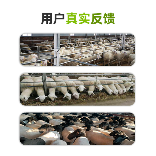 Yingmaier breeding ewe premix lambing multi-pregnancy lactation ewe feed milk multi-Yingmaier premix ewe premix 20kg (lamb Duowang)