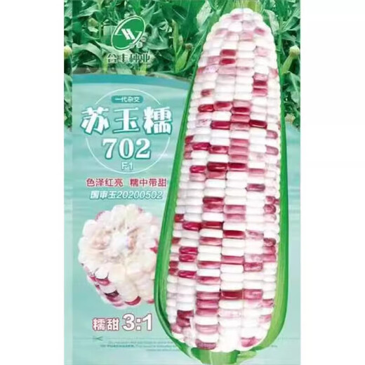 National Approval Spring Sowing Corn Seed Fruit Black Pearl Summer Sowing High Yield Early Maturity Field Eaten Raw Sweet and Sticky Color Pearl Nuo No. 8 Corn Seed 40g Original 5 Bags (Buy More for Cheap)