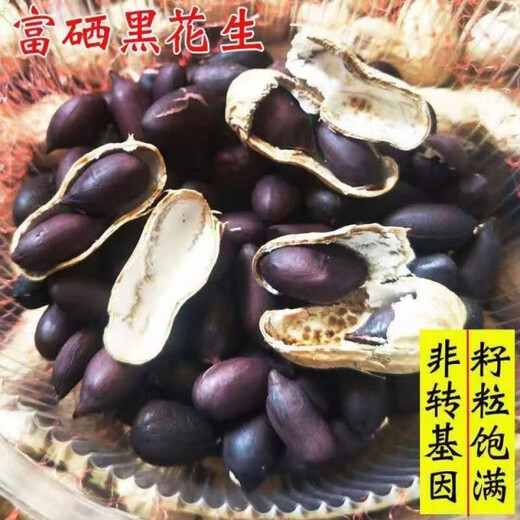 Black peanut seeds, sown in spring and summer, purple and black peanut seeds, black seed peanuts, original peanuts for field use, net weight in shell, 500 grams