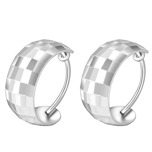 COISept950 platinum earrings for women, platinum earrings, sparkling earrings, birthday gifts for girlfriend and wife, wedding anniversary, sparkling platinum earrings