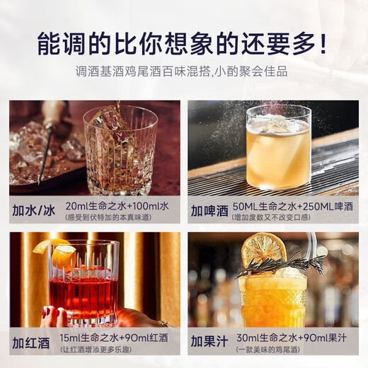 麦其克 伏特加  96度生命之水 高度烈酒洋酒 调酒基酒  格鲁吉亚进口 生命之水伏特加 500mL 1瓶